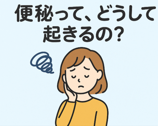 便秘ってどうして起きるの?